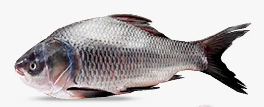 Bahu Fish