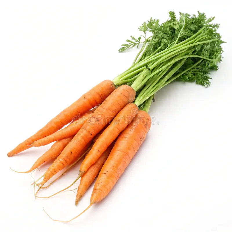 Carrot
