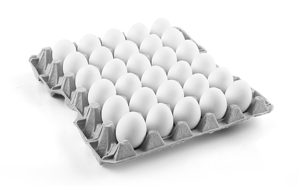 Egg Plate