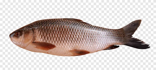 Local Bahu FIsh(Fresh & Cut)