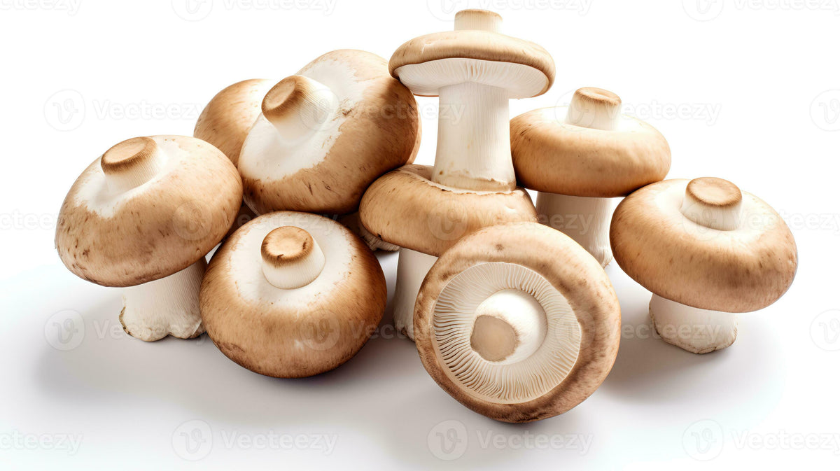 Mushroom