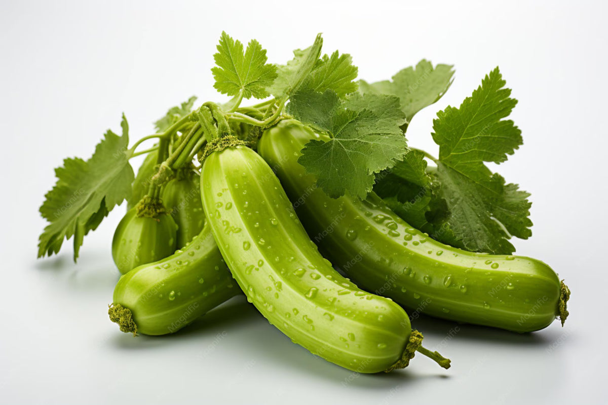 Ridge Gourd (জিকা)